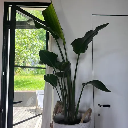Maison De Dans Village En Bord De * 维埃尔维勒