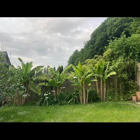 度假居 Maison De Dans Village En Bord De 维埃尔维勒